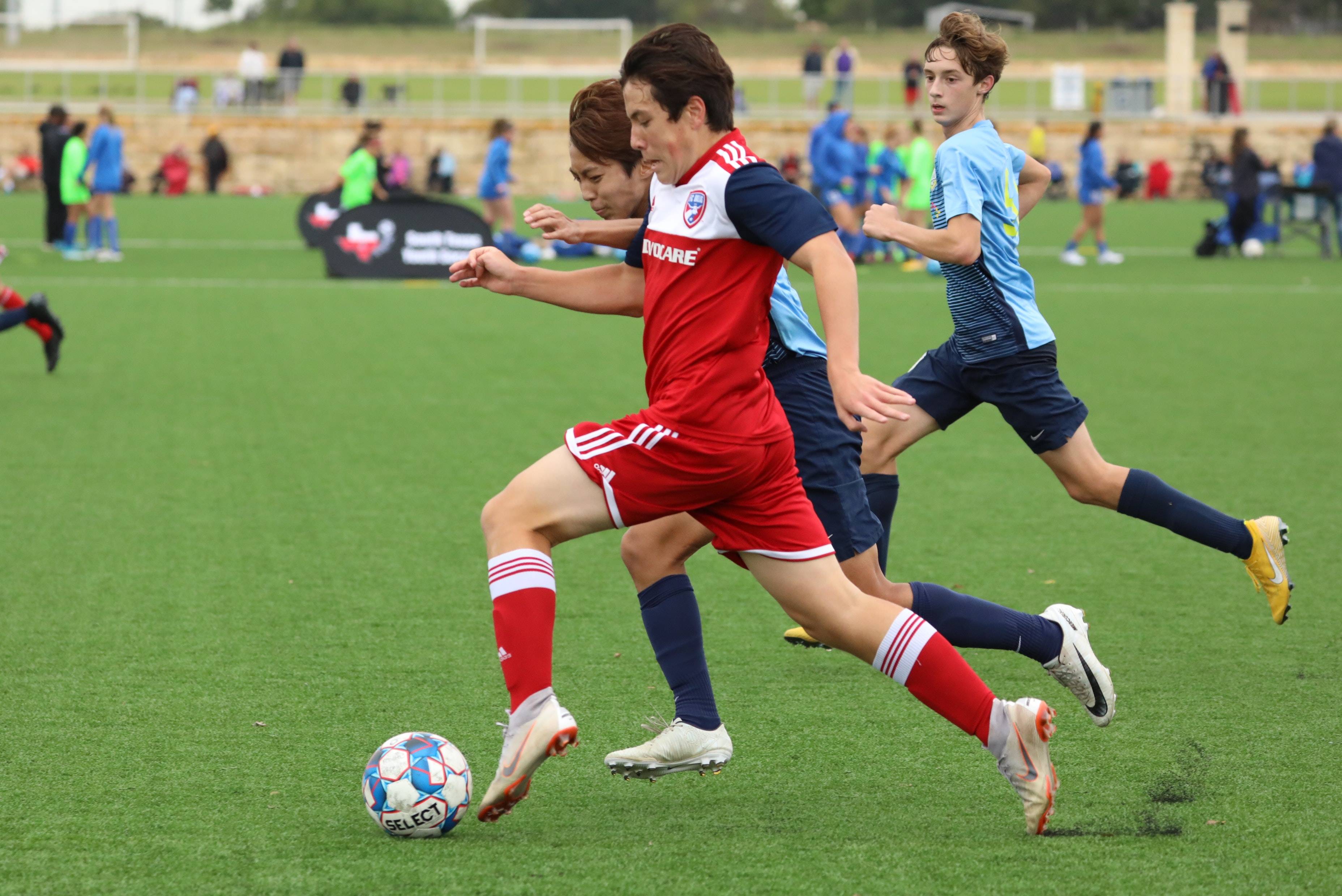 们对一二手 们对一二手